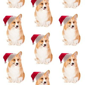 Santa Corgi