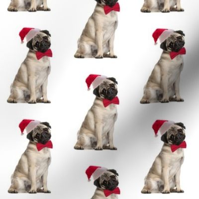 Santa Pug