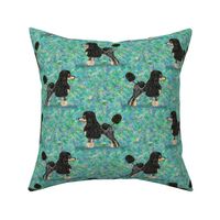 Black and Tan Phantom Poodle on Blue Green