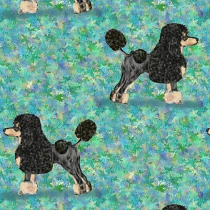 Black and Tan Phantom Poodle on Blue Green