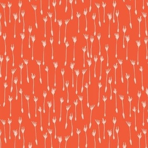 seeds in orange