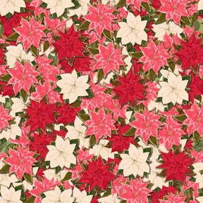 Pink Red and White Poinsettia scatter with hint of fake gold