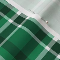 Christmas Green Plaid