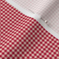 red gingham 01