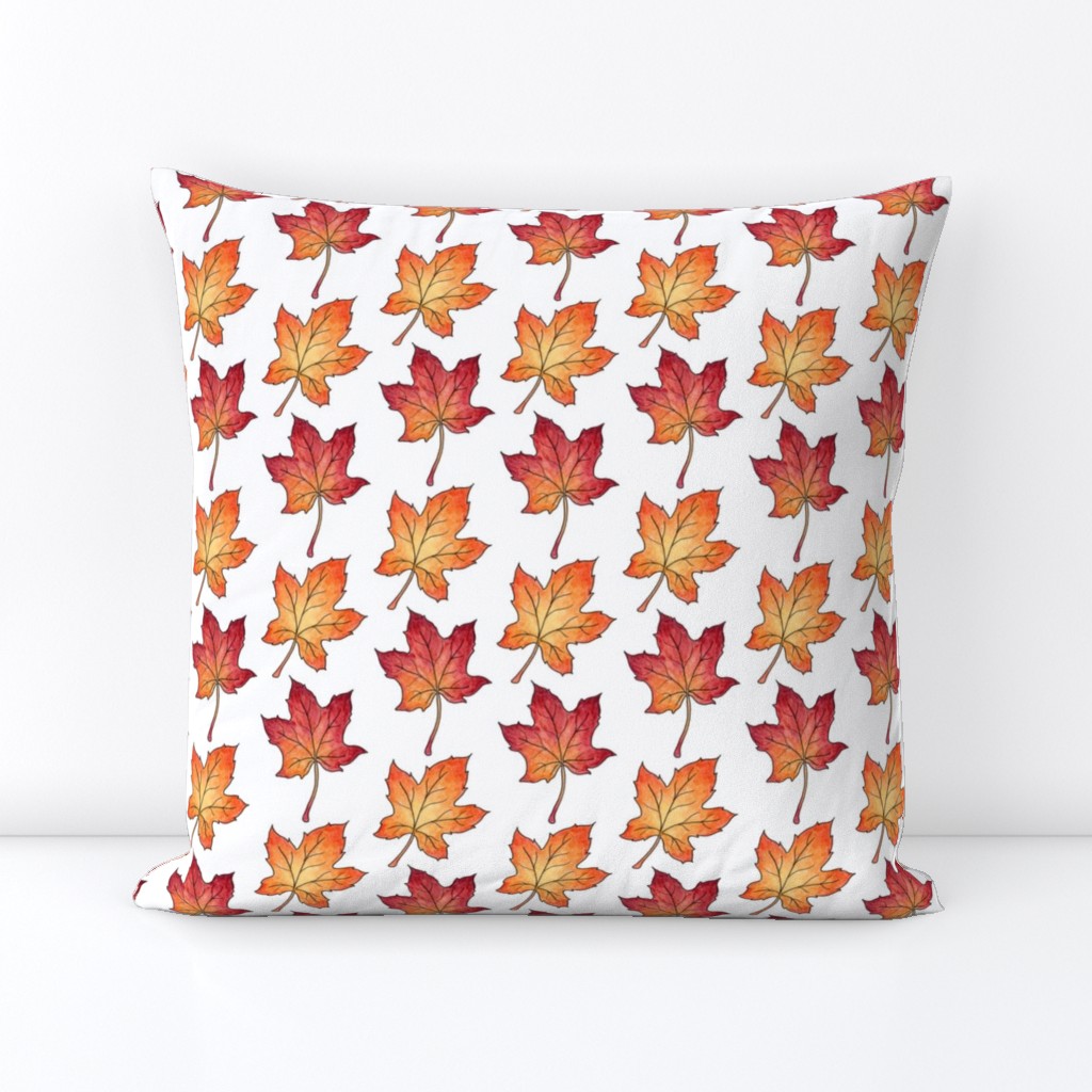 Autumn Maple Leaves