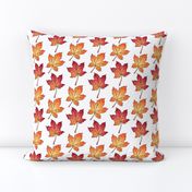 Autumn Maple Leaves