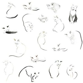 Many minimalist cats