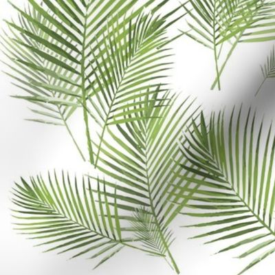 Areca palm frond palm leaf greens watercolor large scale