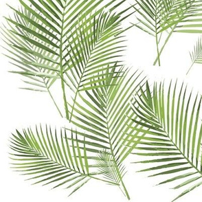 Areca palm frond palm leaf greens watercolor large scale