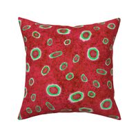 Ringed Octopus Red Green 200L