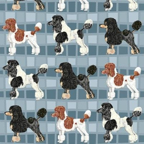 Fancy Poodles on Parade