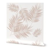 Palm leaf - blush on white tropical palm tree