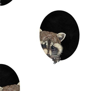 Socially Anxious Raccoon