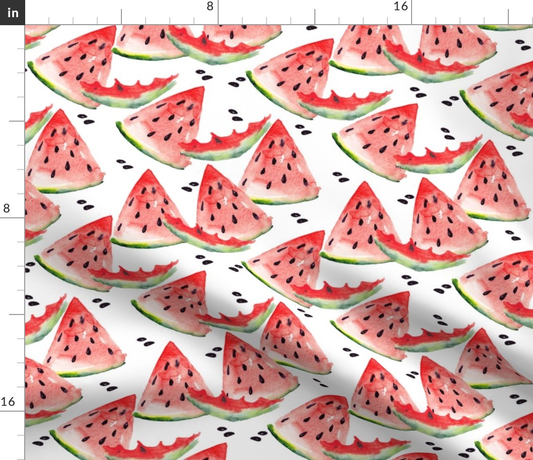 Watercolor watermelon 