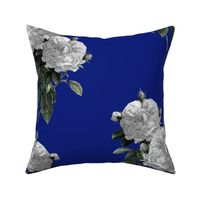 Redoute' Roses ~ Riot of  White Blooms on Bandy Blue 