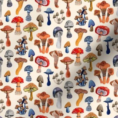 Mushrooms by Angel Gerardo