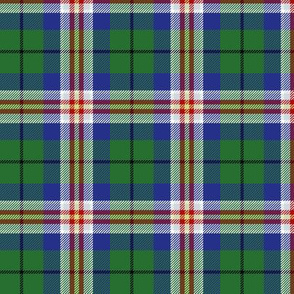 Kentucky official state tartan, 3" modern colors