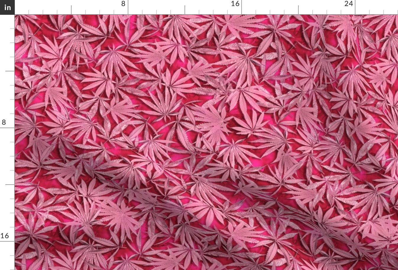 Passion Pink Cannabis