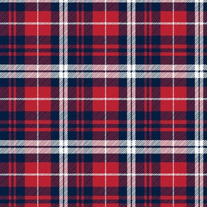 fall plaid (small scale) - navy, red, and white