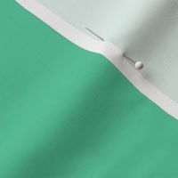 FNB3 - Rustic Teal Green Pastel Solid