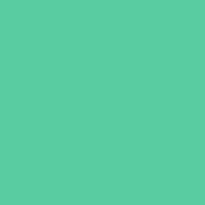 FNB3 - Rustic Teal Green Pastel Solid