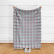 FNB4 - Fizz n' Bubble Pink and Blue Tartan Plaid - 10.5 inch fabric repeat - 12 inch wallpaper repeat
