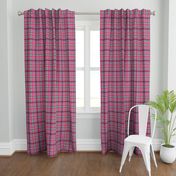 FNB3 - Soft Spoken Christmas  Plaid in Pink - Green