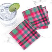 FNB3 - Soft Spoken Christmas  Plaid in Pink - Green