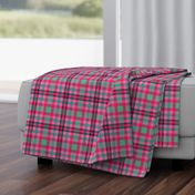 FNB3 - Soft Spoken Christmas  Plaid in Pink - Green
