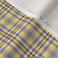 FNB1 - Pastel Lemon Yellow and Violet Tartan Plaid