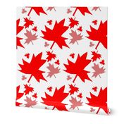 Maple Leaf on White