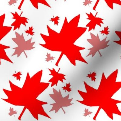 Maple Leaf on White