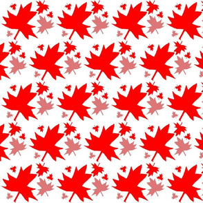 Maple Leaf on White