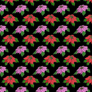 pink_and_red_poinsettias