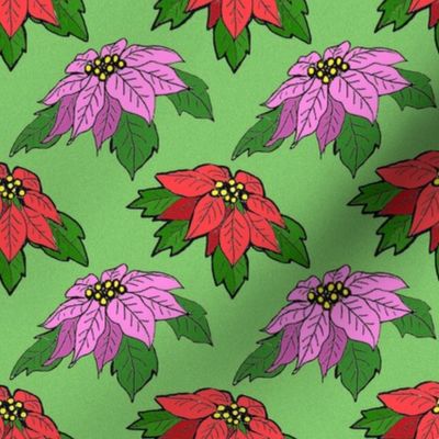 pink_and_red_poinsettias_on_green