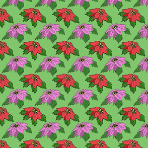 pink_and_red_poinsettias_on_green