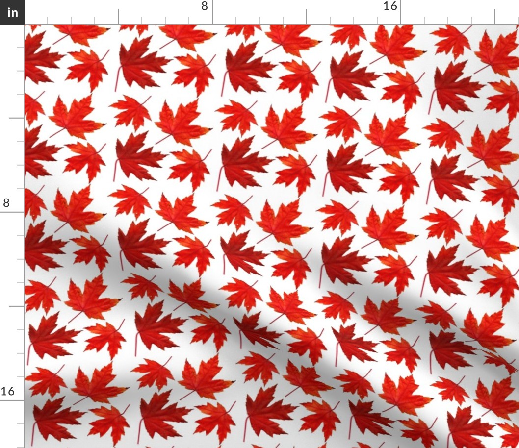 4_sugar_maple_leaves