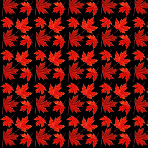 4_sugar_maple_leaves_2