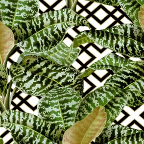 Tropical Palm Leaves on Woven Lattice White Black Gold V2