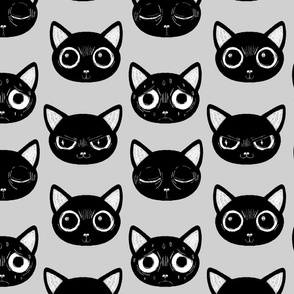 Black Cat Expression