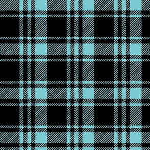 fall plaid || black  & light teal