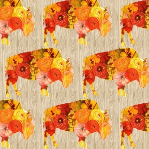 Sunset Poppy Bison - Rustic 