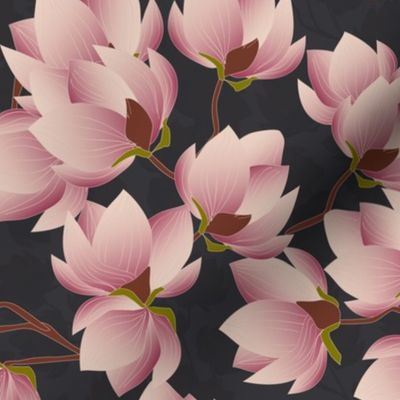 magnolia branch dark background