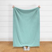 Solid Mint / Solid Turquoise