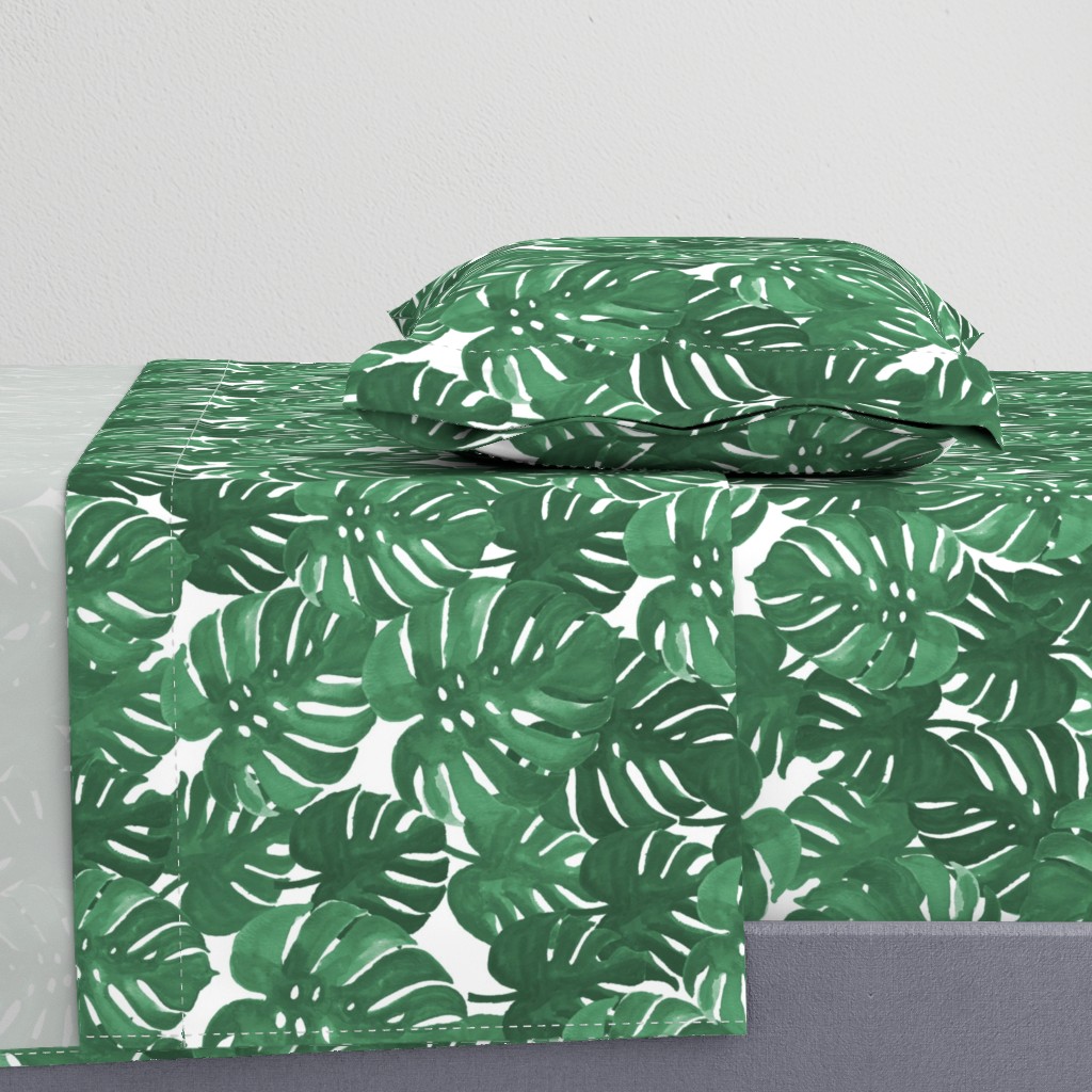 monstera cheese plant painted tropical palms botanical tropical palm springs trendy plants cactus succulents plants