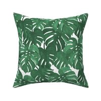 monstera cheese plant painted tropical palms botanical tropical palm springs trendy plants cactus succulents plants