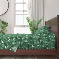 monstera cheese plant painted tropical palms botanical tropical palm springs trendy plants cactus succulents plants