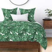 monstera cheese plant painted tropical palms botanical tropical palm springs trendy plants cactus succulents plants - EXTRA LARGE PRINT