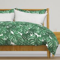 monstera cheese plant painted tropical palms botanical tropical palm springs trendy plants cactus succulents plants - EXTRA LARGE PRINT