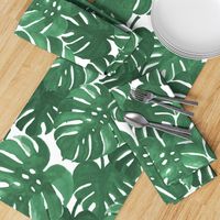 monstera cheese plant painted tropical palms botanical tropical palm springs trendy plants cactus succulents plants - EXTRA LARGE PRINT